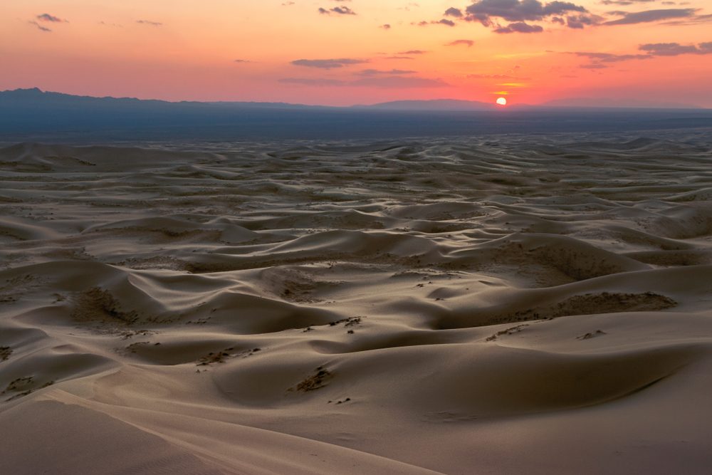 Gobi Three Beauties